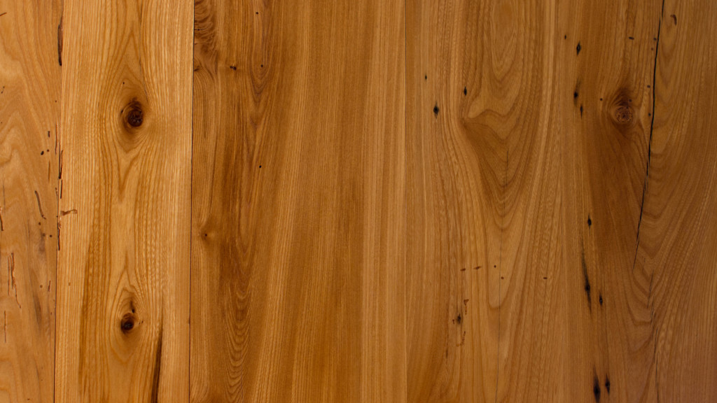 Elm Elm
