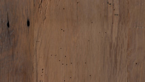 reclaimed skip milled oak with whitewash finish from Roussesau Reclaimed Lumber & Flooring in South Portland, Maine