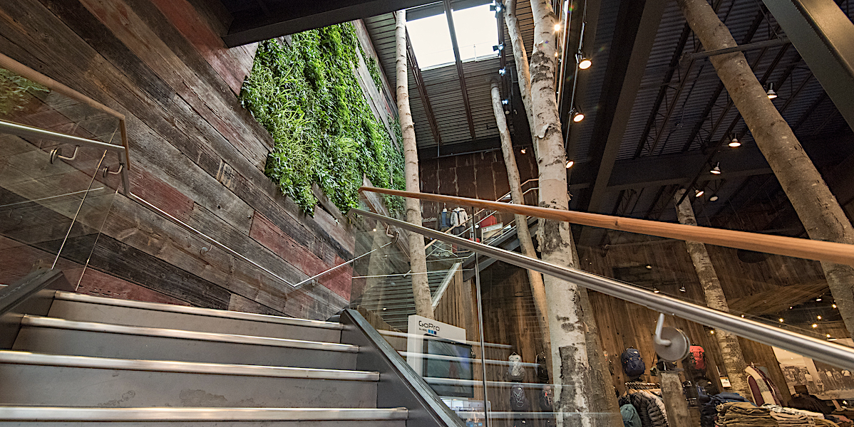 Live wall in Denali retail store featuring plants and reclaimed red barn board in Providence, Rhode Island.